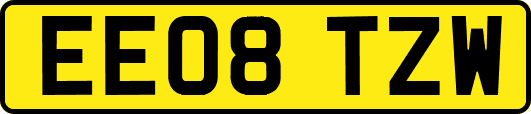 EE08TZW