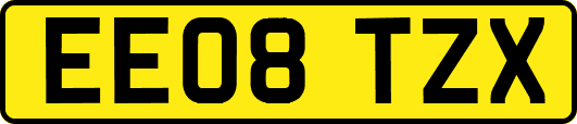 EE08TZX