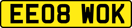 EE08WOK