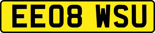 EE08WSU
