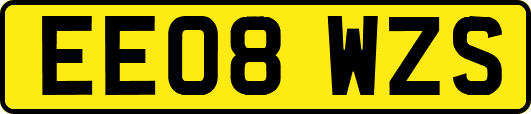 EE08WZS