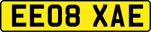 EE08XAE