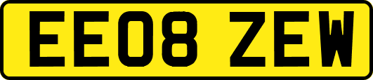 EE08ZEW