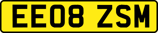EE08ZSM