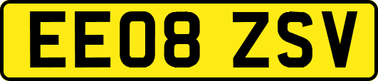 EE08ZSV