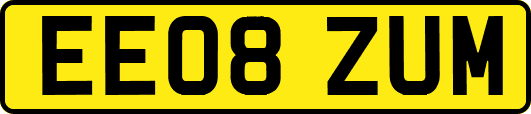 EE08ZUM