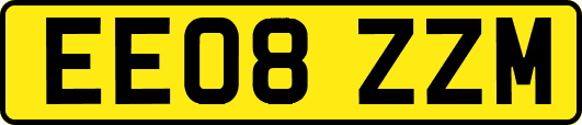 EE08ZZM