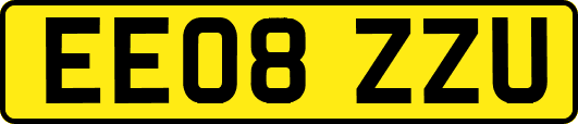EE08ZZU