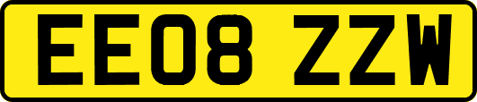 EE08ZZW