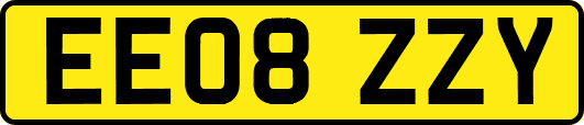 EE08ZZY