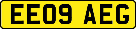 EE09AEG
