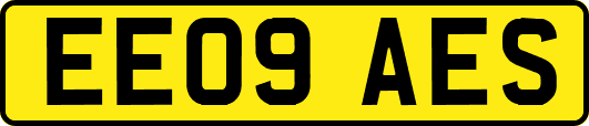 EE09AES