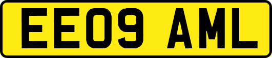 EE09AML