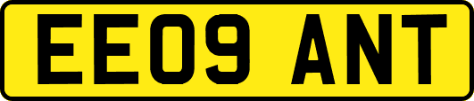 EE09ANT
