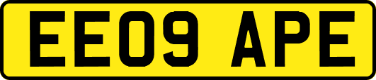 EE09APE