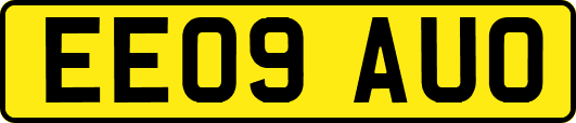 EE09AUO