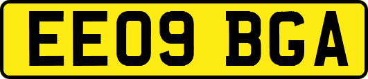 EE09BGA
