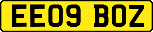 EE09BOZ