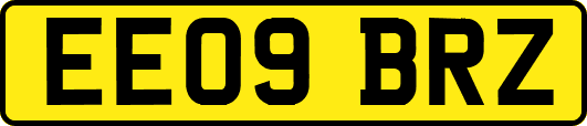 EE09BRZ