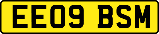 EE09BSM