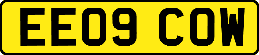 EE09COW