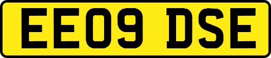 EE09DSE