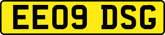 EE09DSG