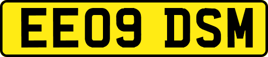 EE09DSM