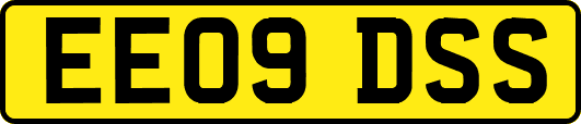 EE09DSS