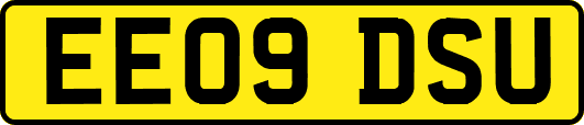 EE09DSU