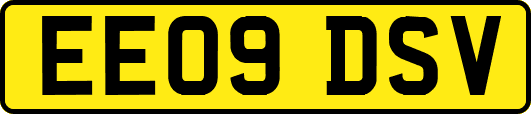 EE09DSV