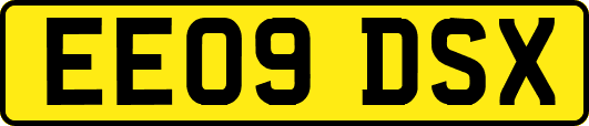 EE09DSX