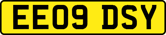 EE09DSY