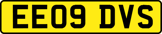 EE09DVS