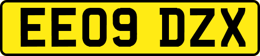 EE09DZX