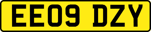 EE09DZY