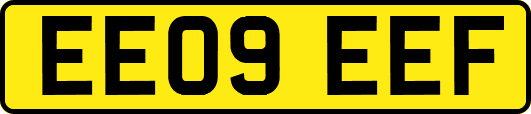 EE09EEF