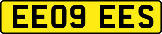 EE09EES