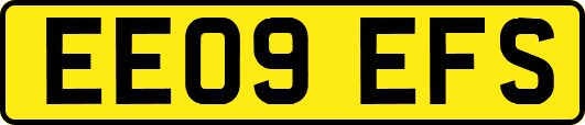 EE09EFS