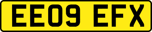 EE09EFX