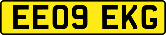 EE09EKG