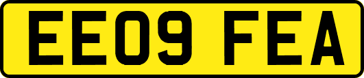 EE09FEA