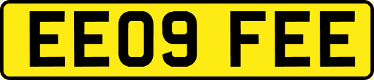 EE09FEE