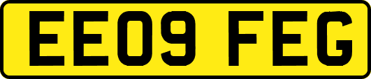 EE09FEG