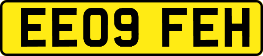 EE09FEH