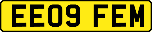 EE09FEM