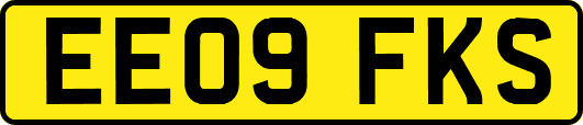 EE09FKS