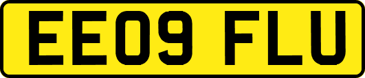 EE09FLU