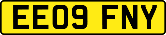 EE09FNY