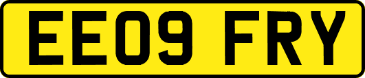 EE09FRY